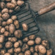 Sweet Potatoes Versus Regular Potatoes: What’s the Call?