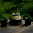 Hemp Tea Benefits for the Mind