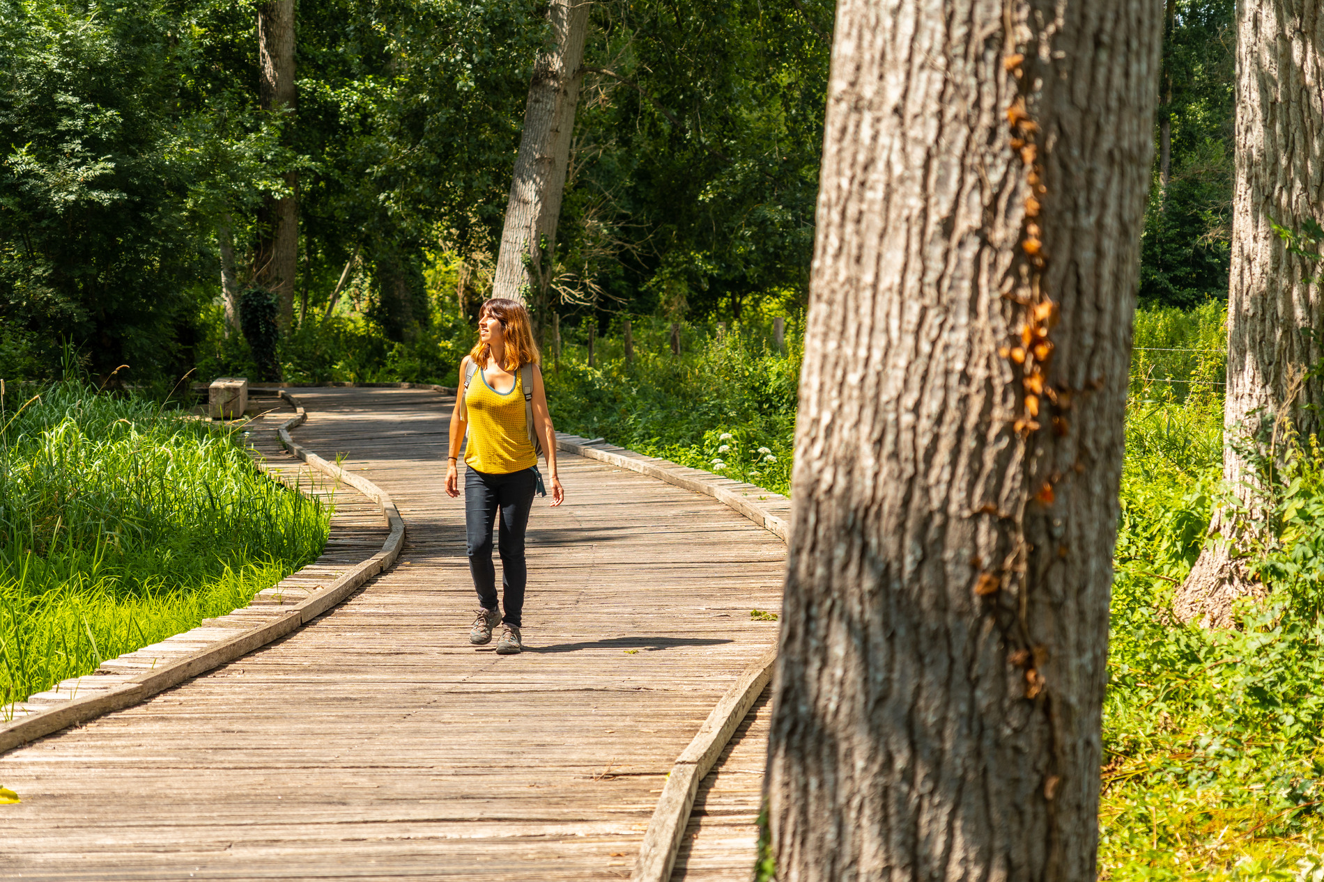 a woman taking a nature walk