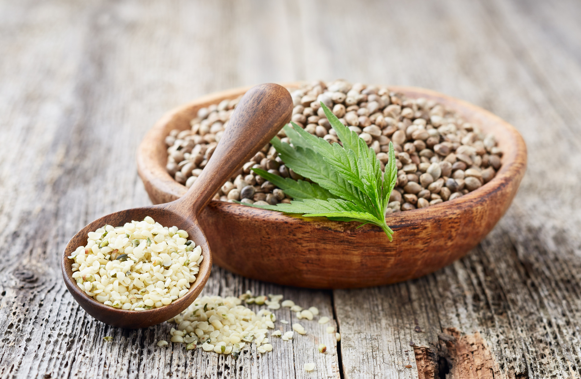 Hemp Seeds