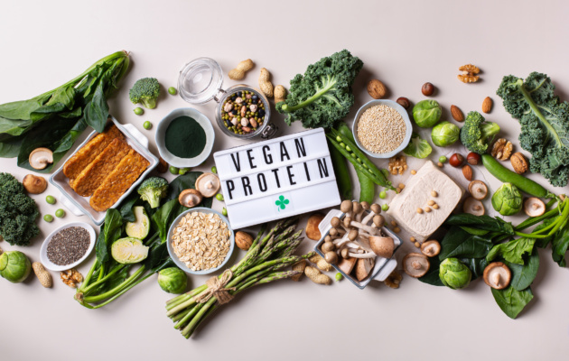 vegan protein