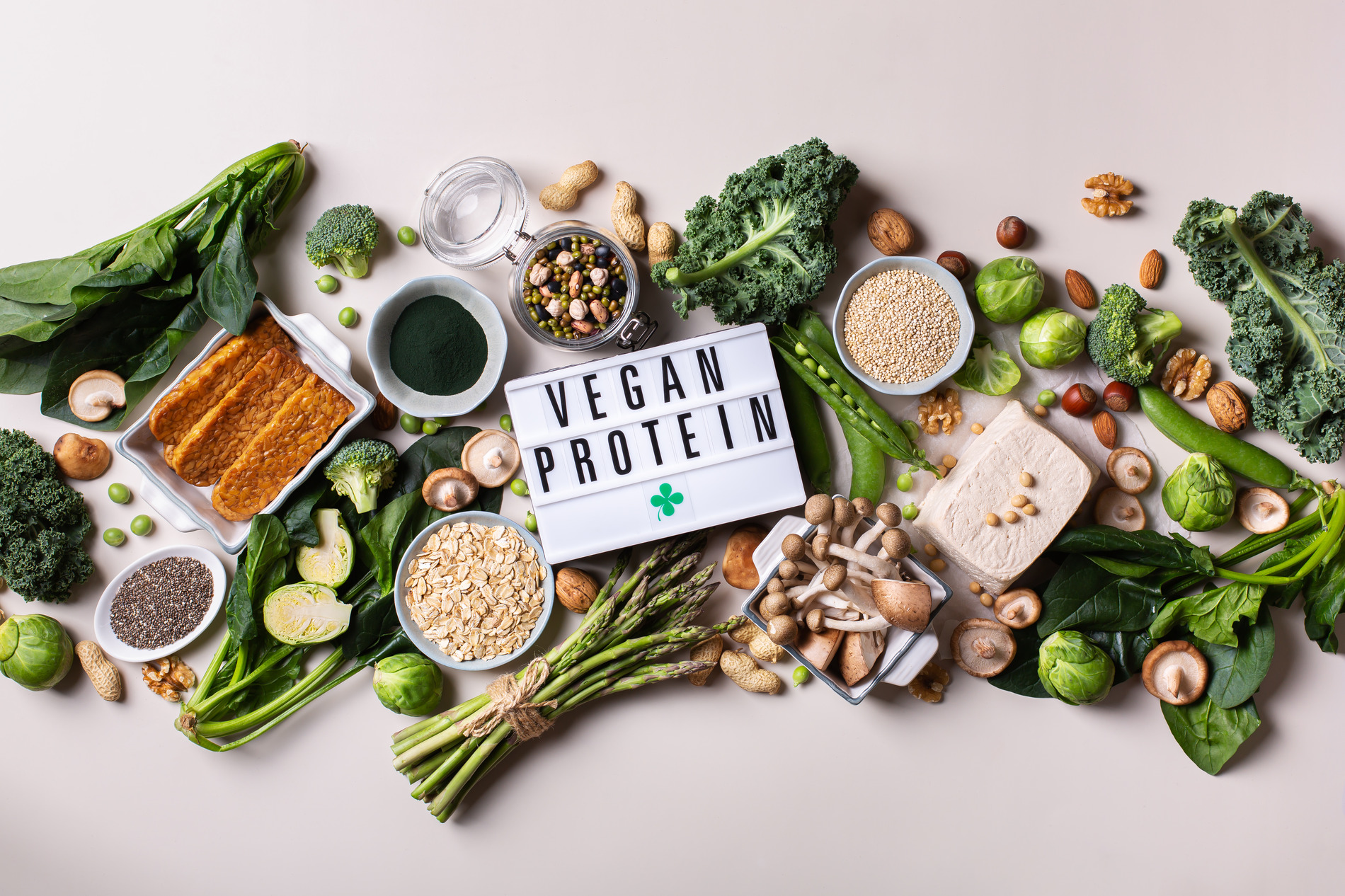 vegan protein