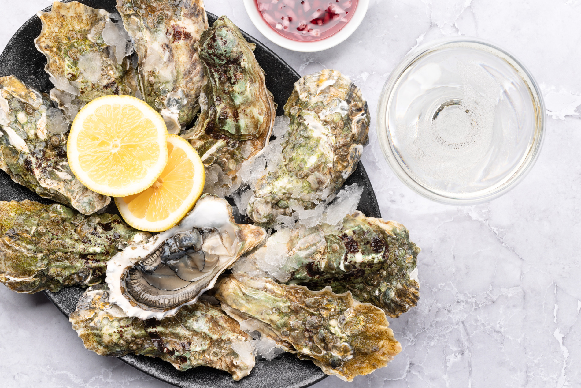 Oysters