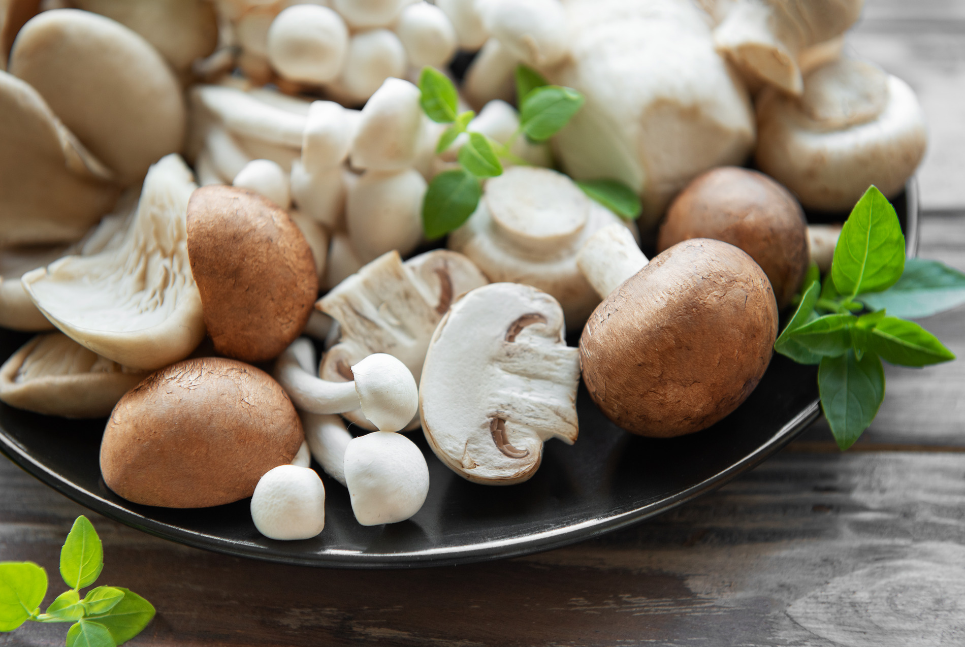 Mushrooms