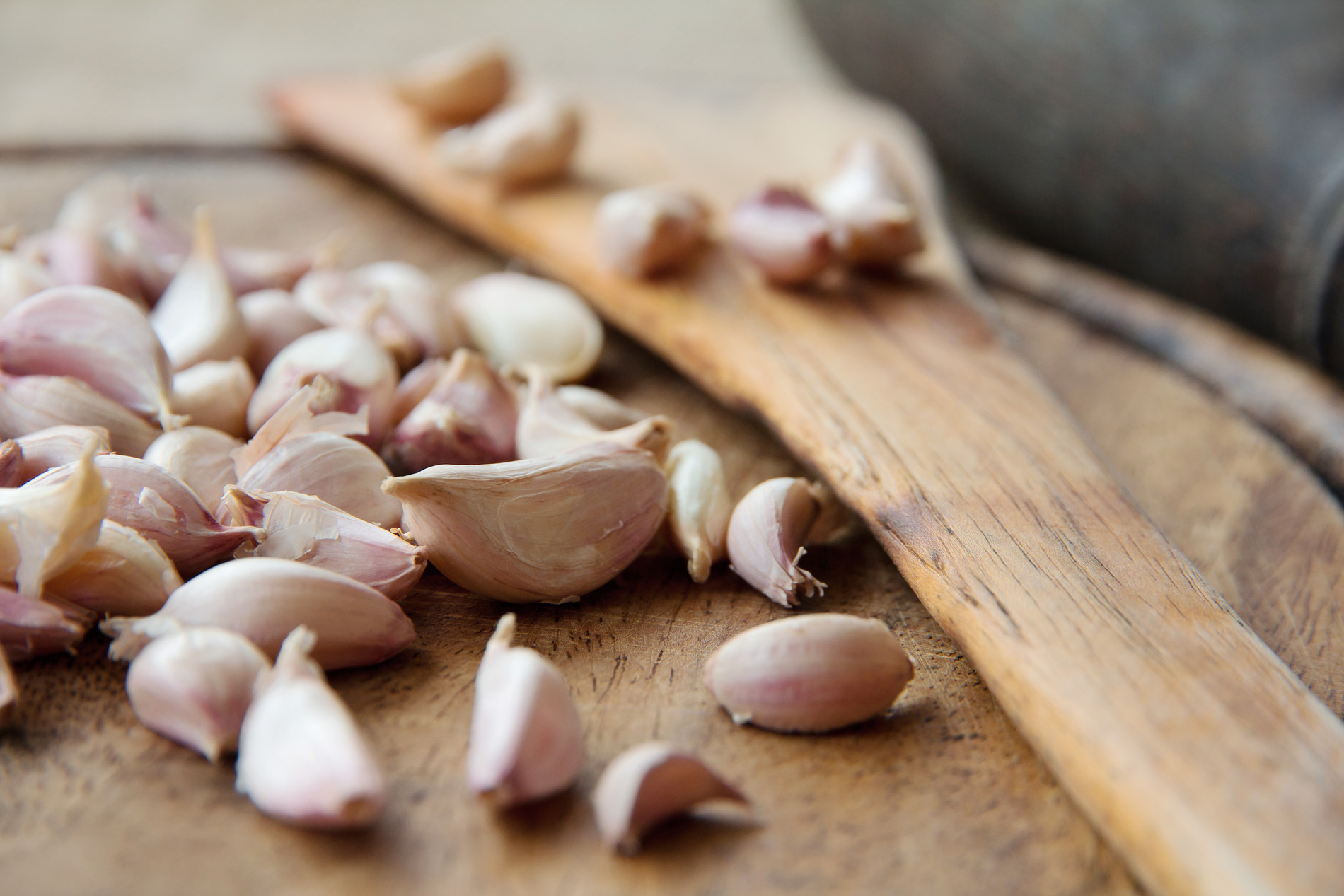 Garlic