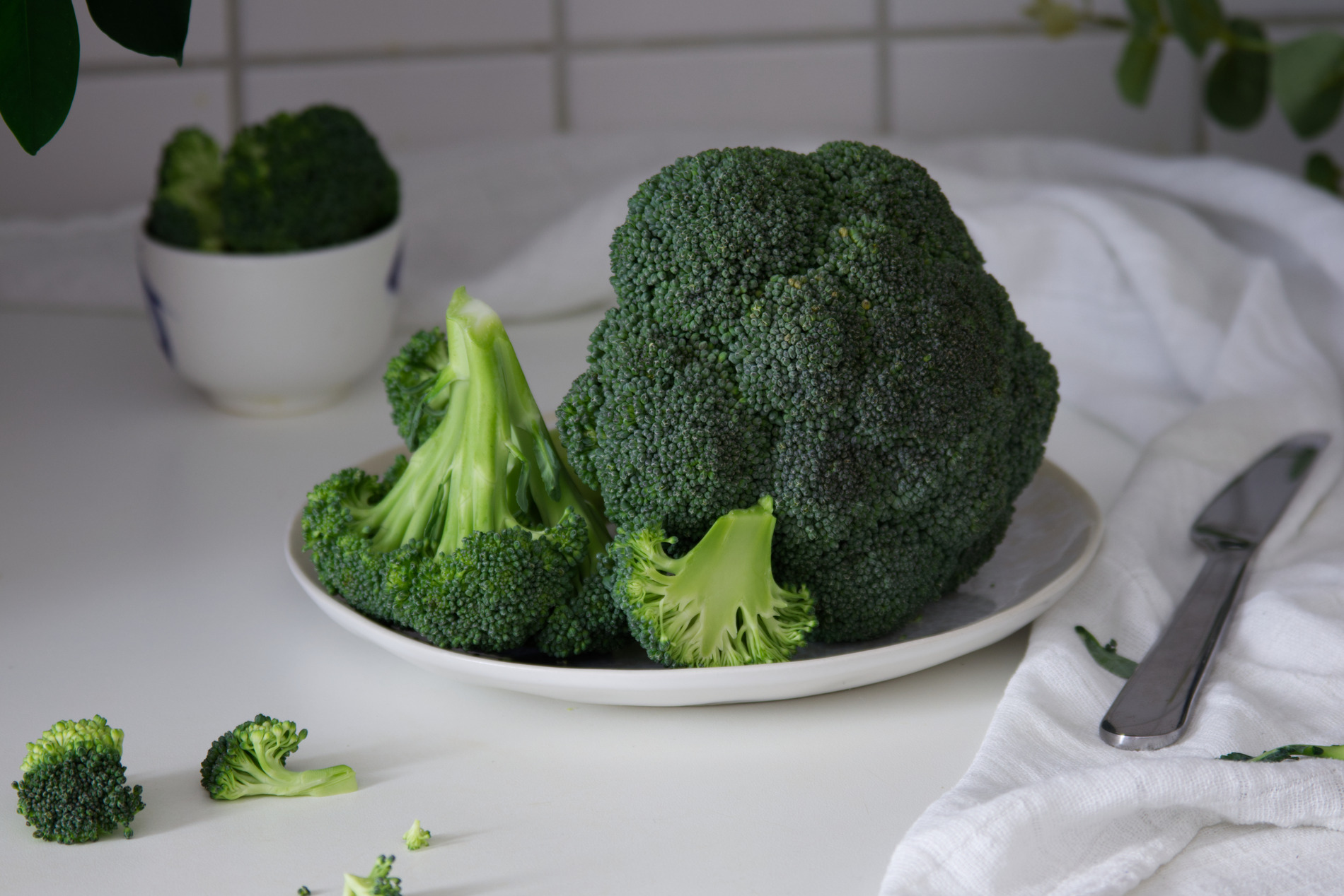 Broccoli