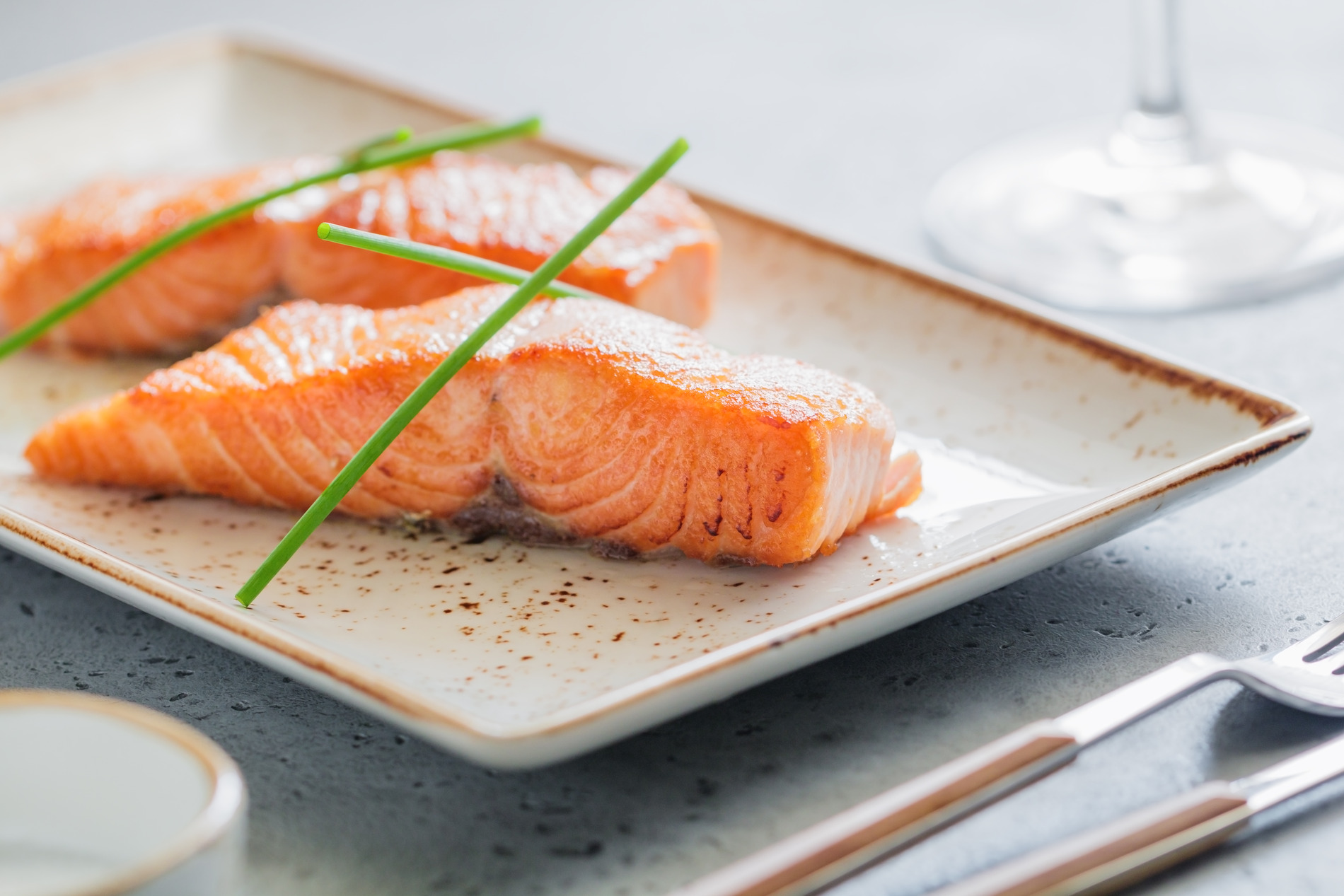 Salmon