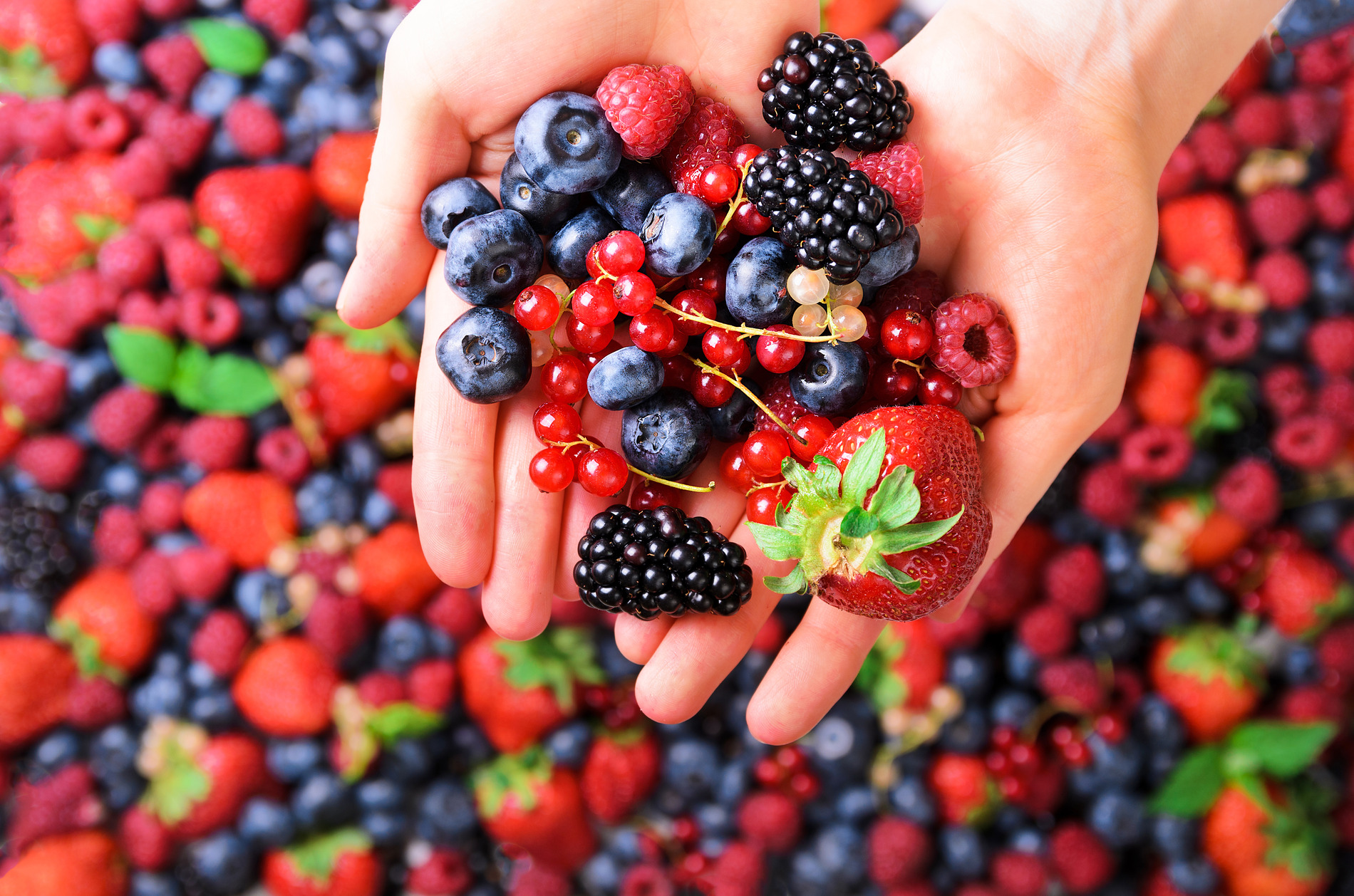 Berries