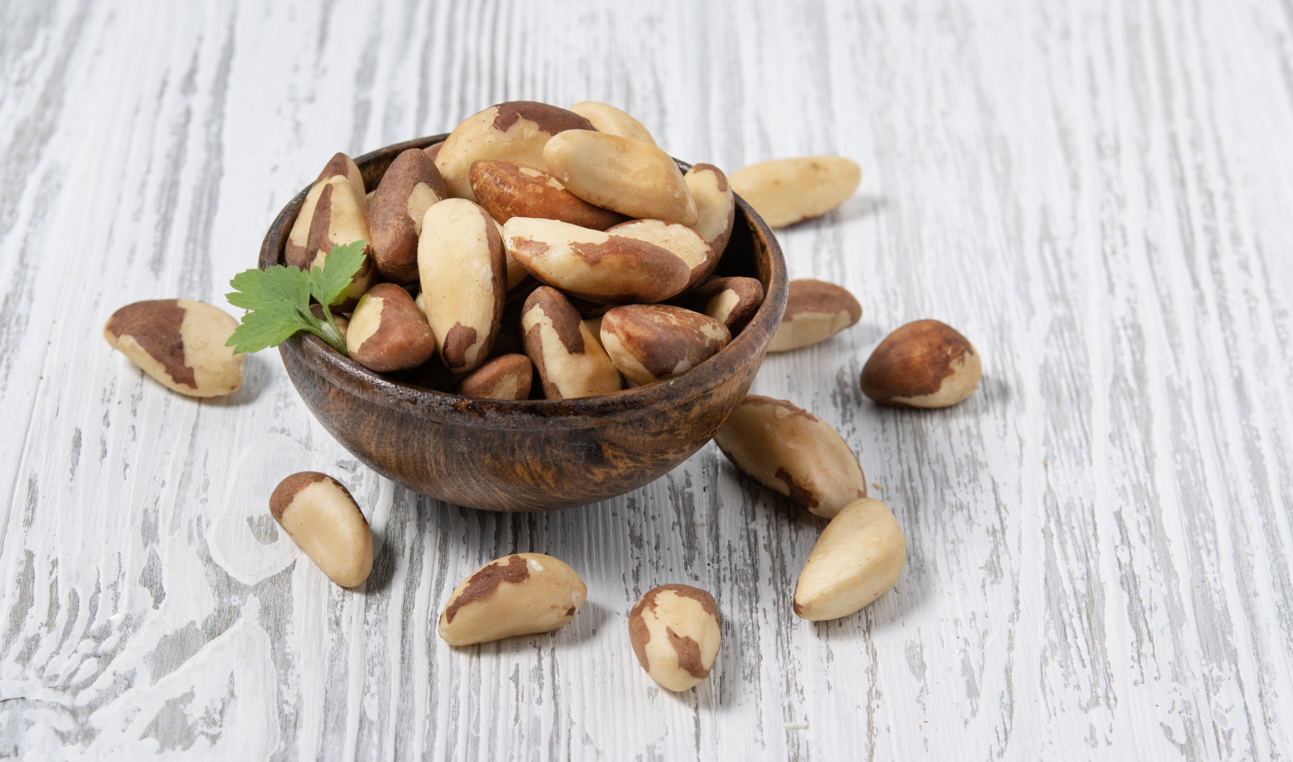 Brazil nuts in cup