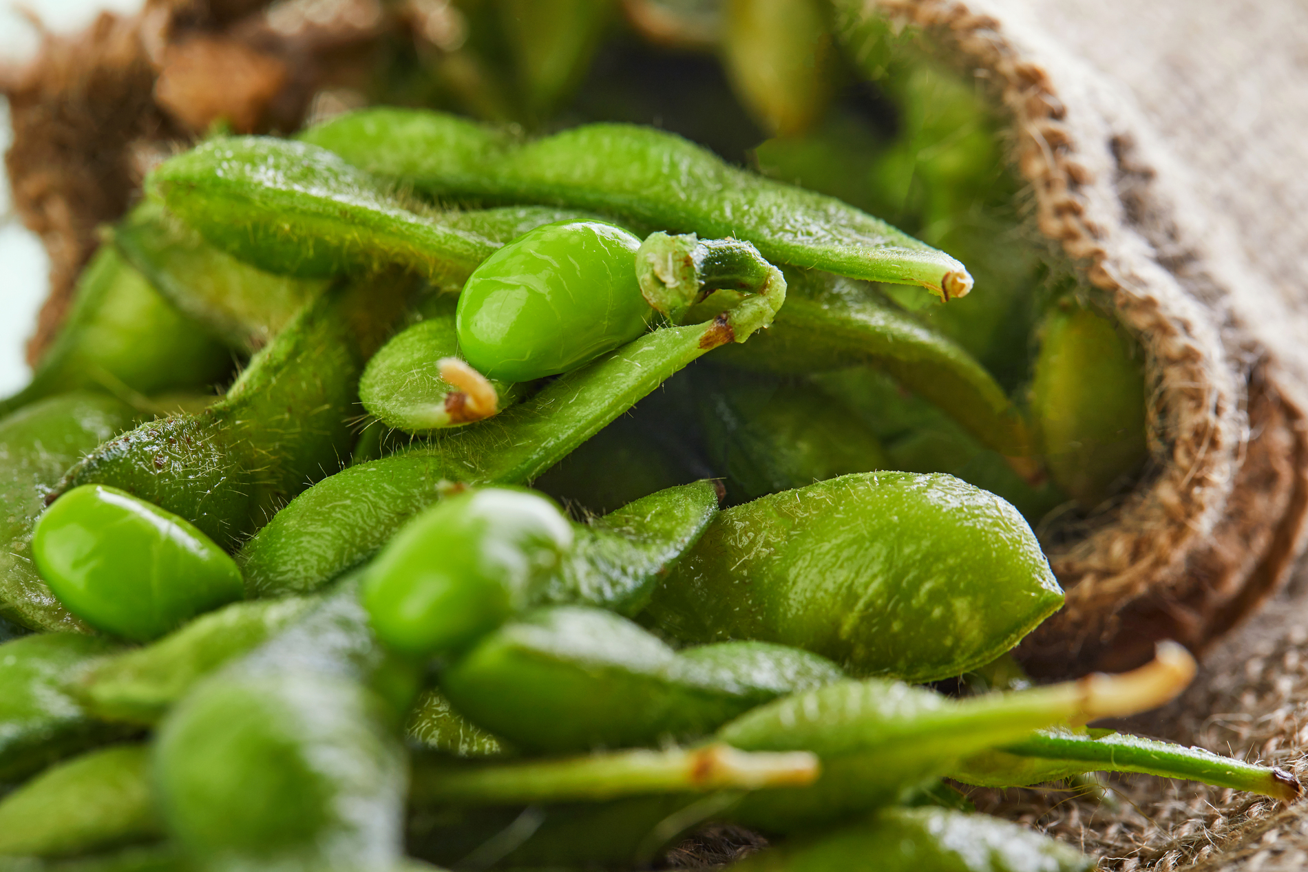 Edamame