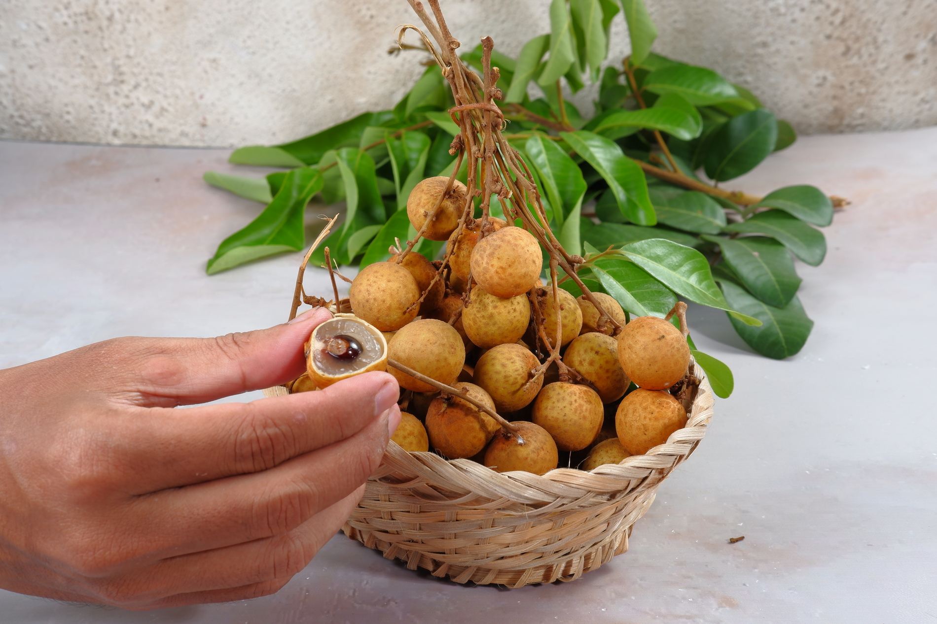 Longan