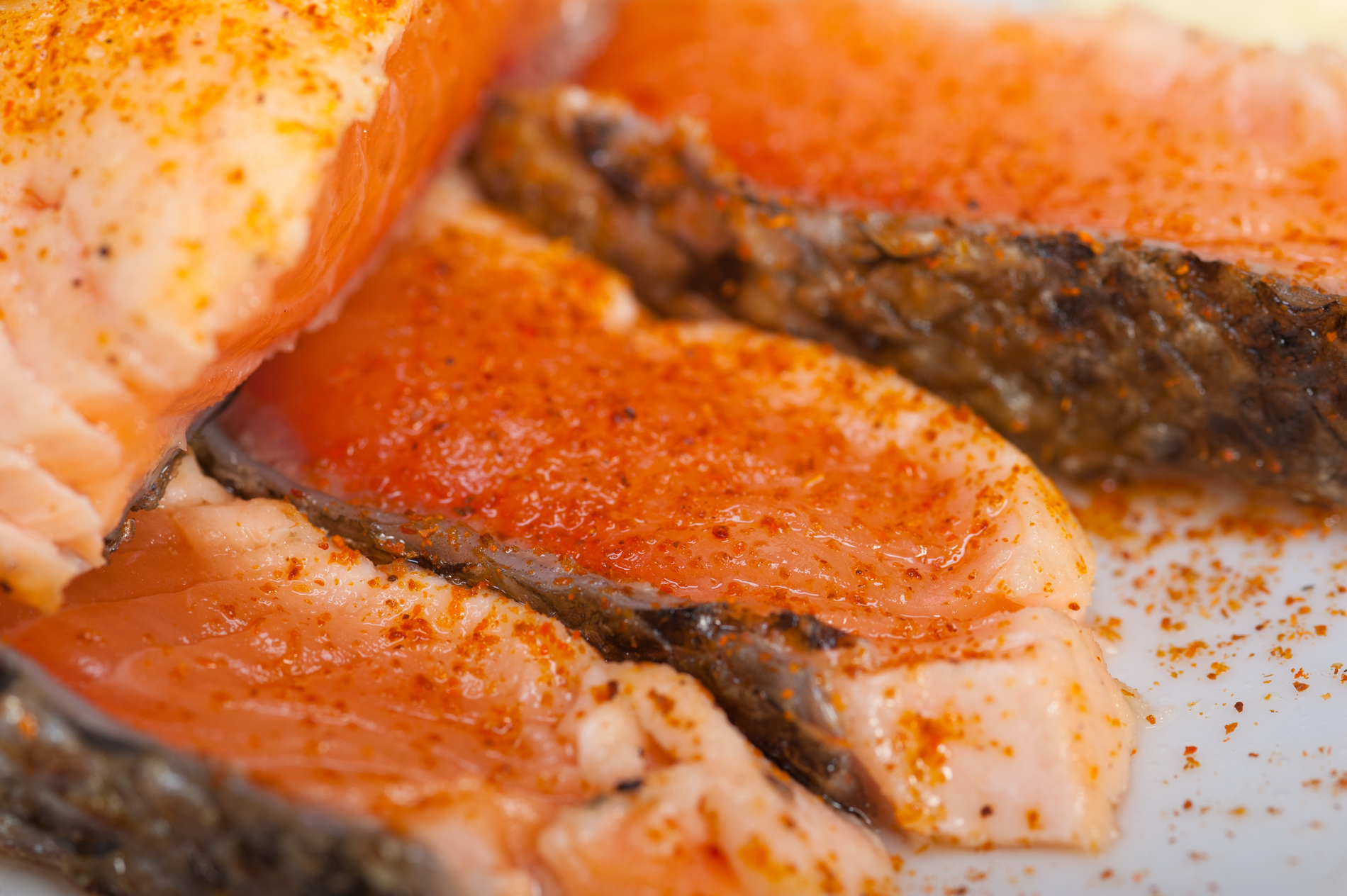 Salmon