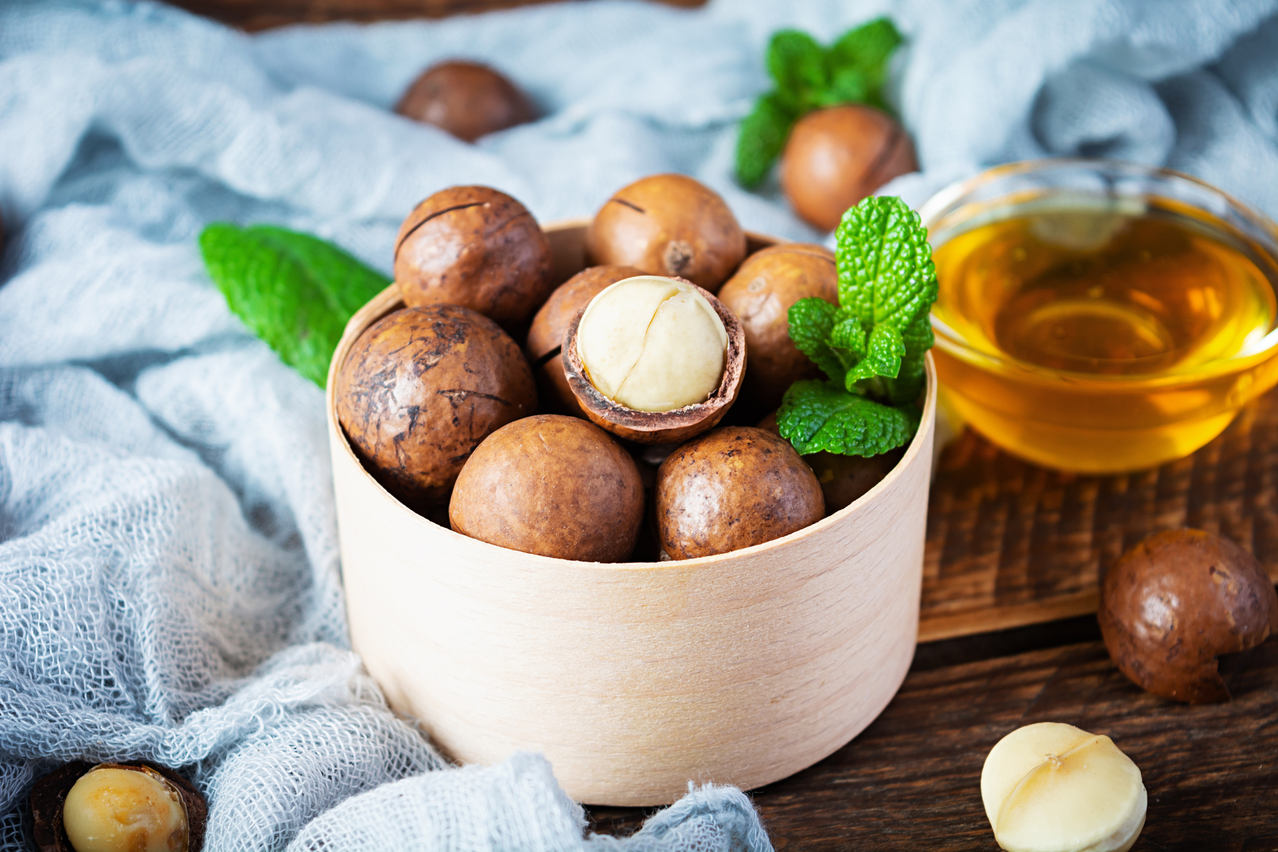 Macadamia nuts in shell