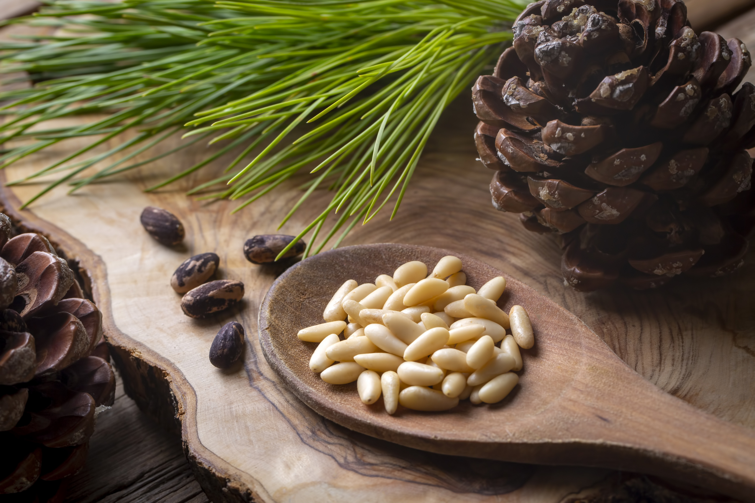 Pine nuts on wooden spoon