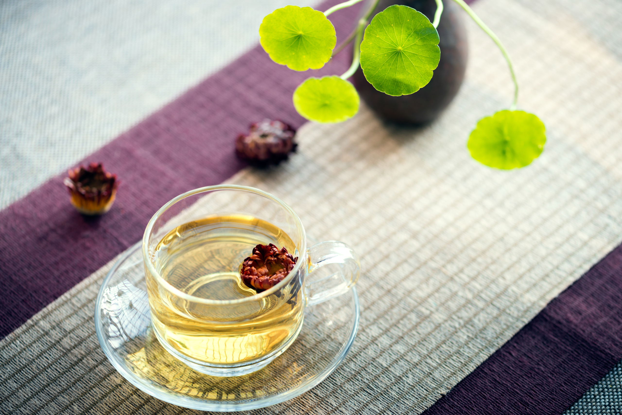 Gotu Kola Tea