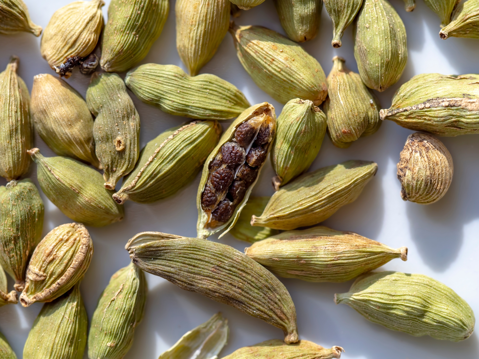 Cardamom
