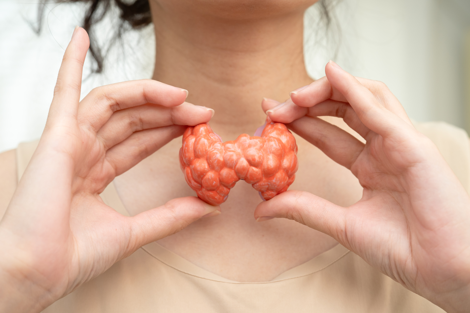 Thyroid Medications