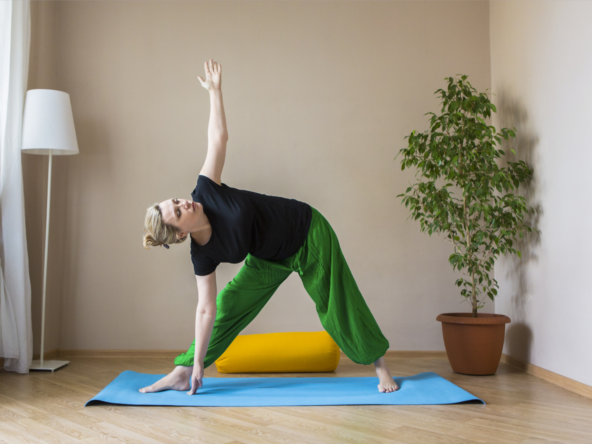Triangle Pose (Trikonasana)
