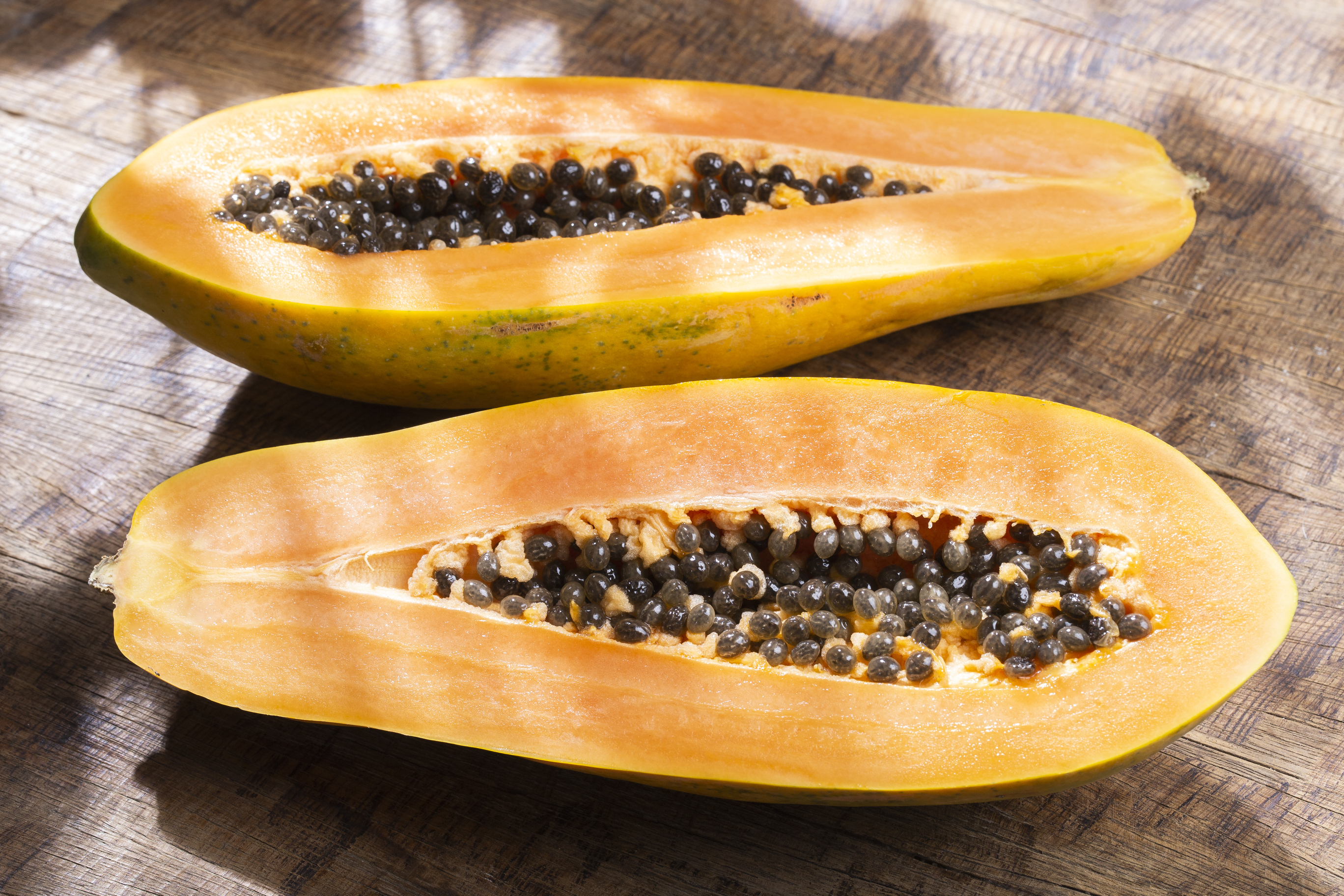 Papaya
