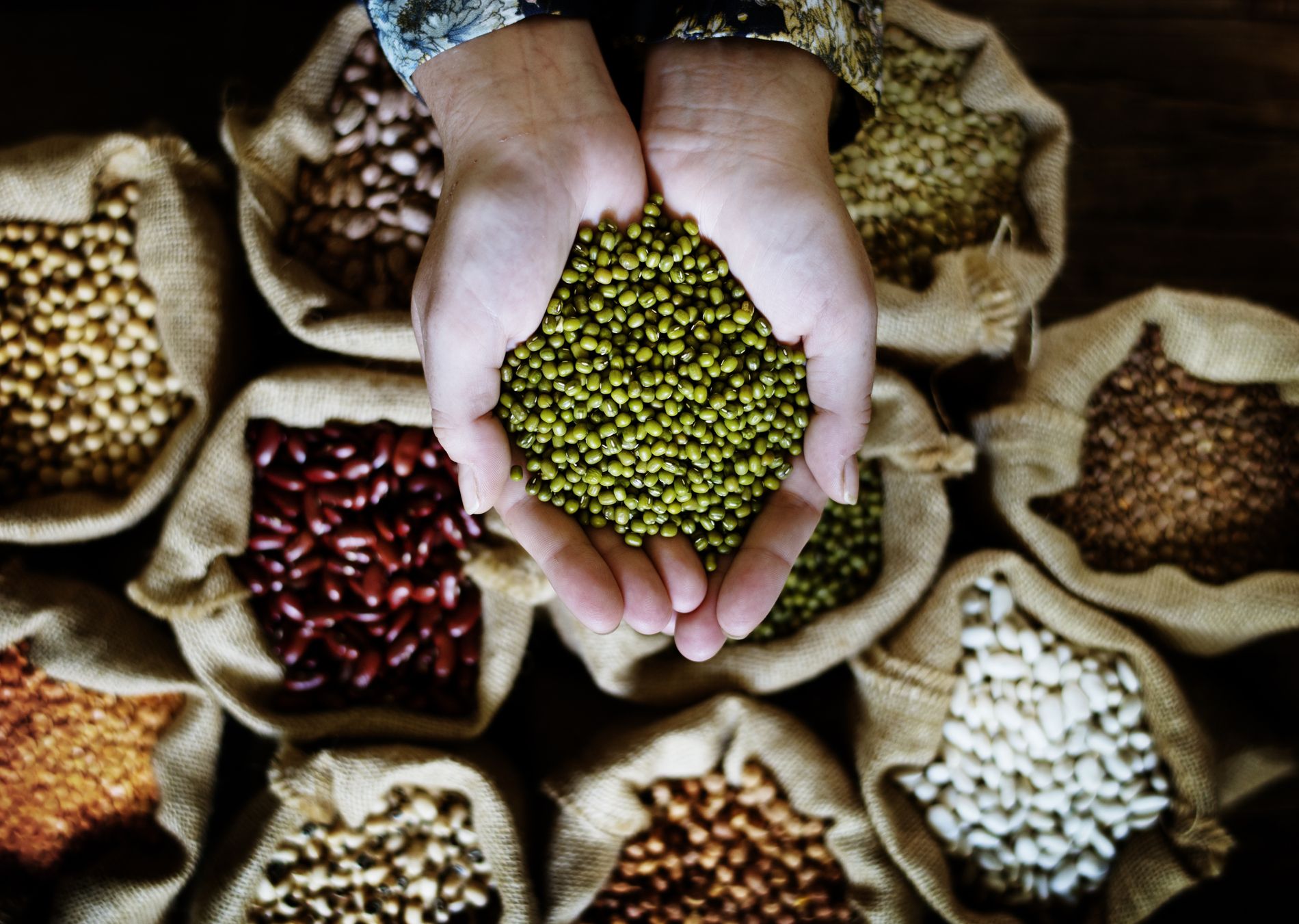Lentils and Beans