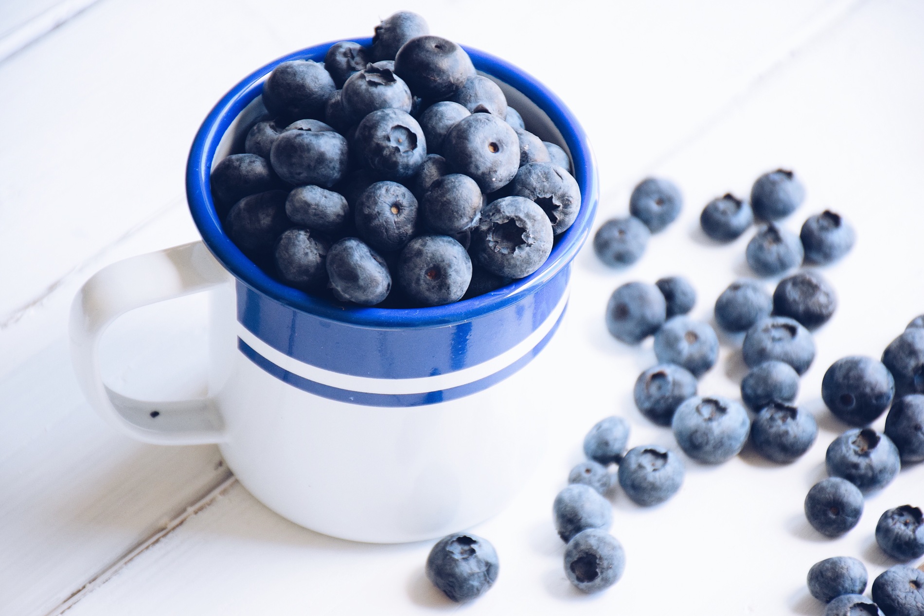 Fresh blueberries in an enamel cup