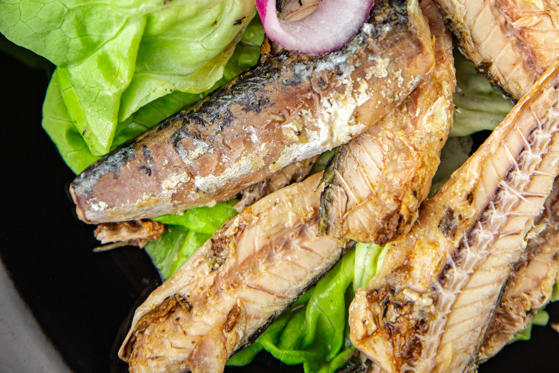 Sardines