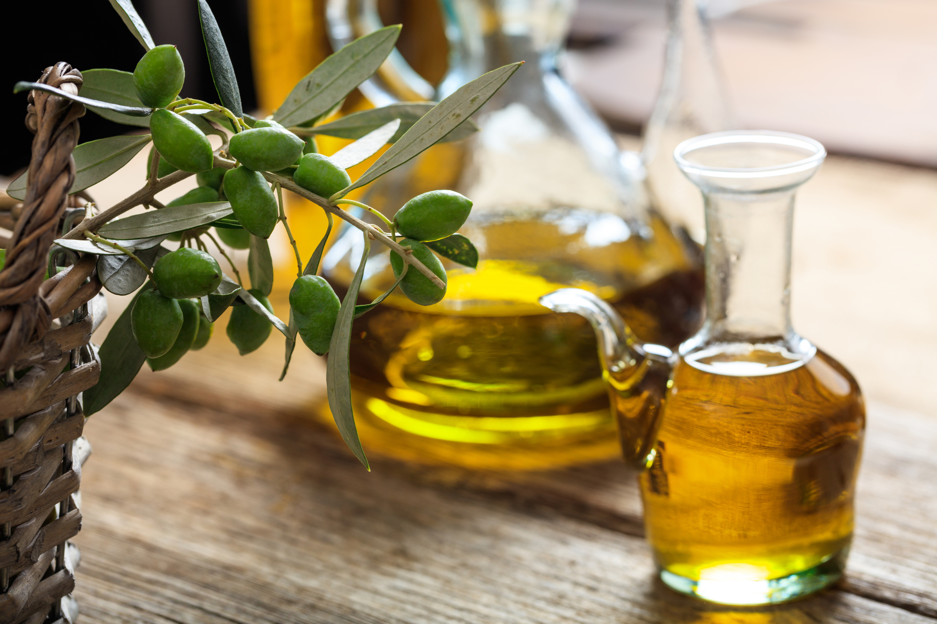 Olive oil and olive twig on table