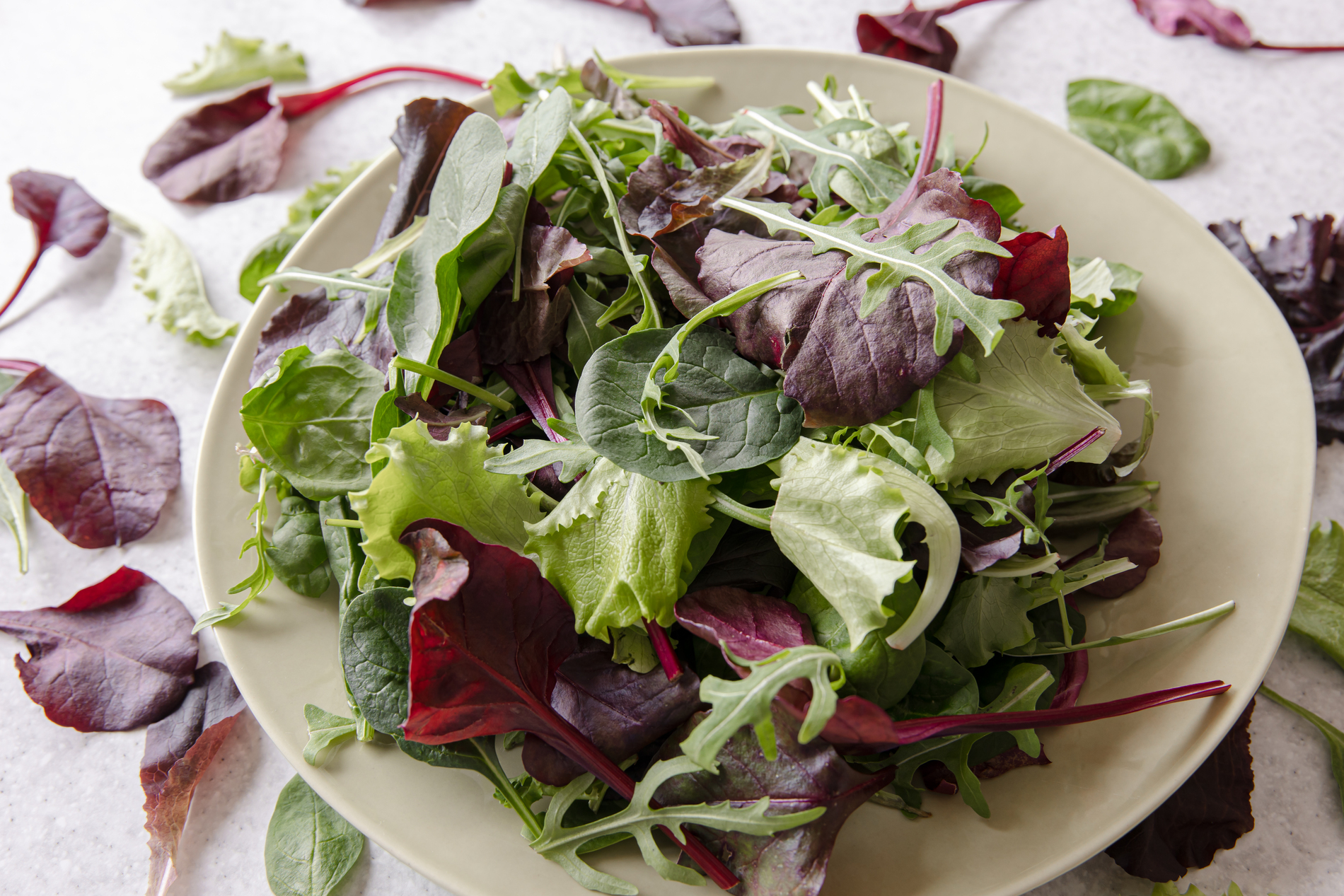 Mixed leafy greens salad