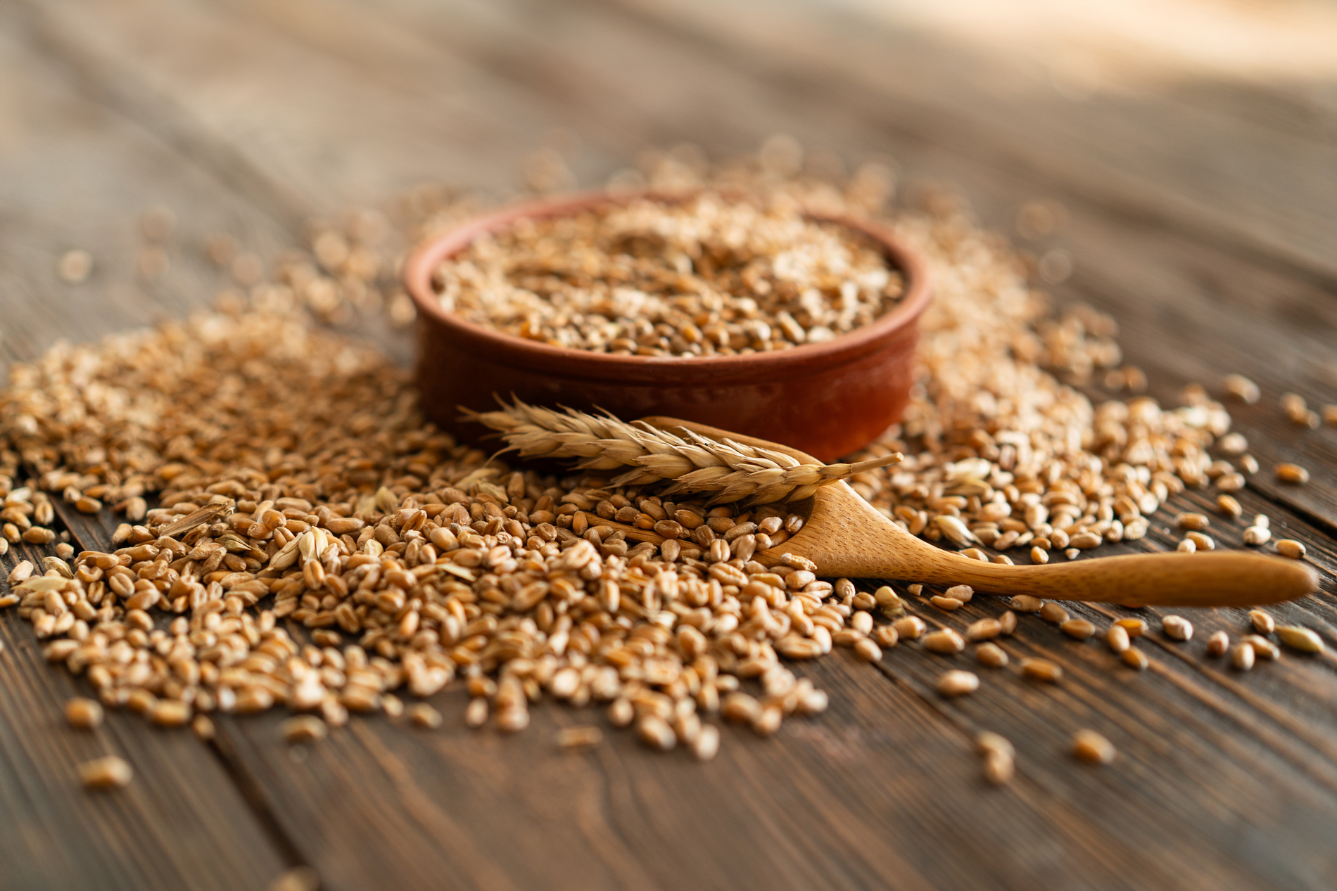 Whole wheat grains on wooden background