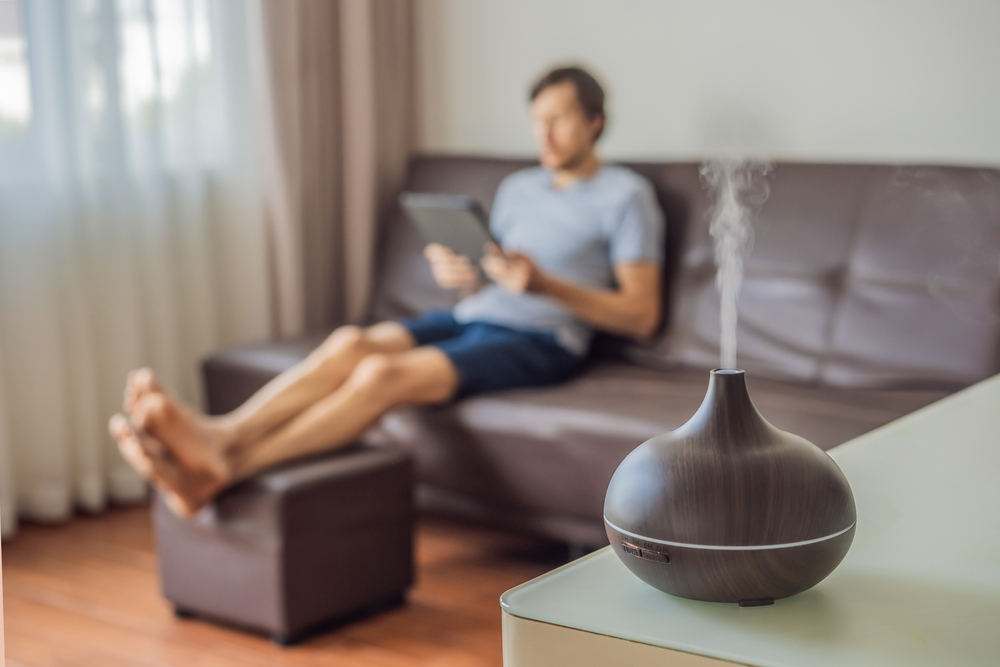 Use a Humidifier Indoors to Add Moisture to the Air
