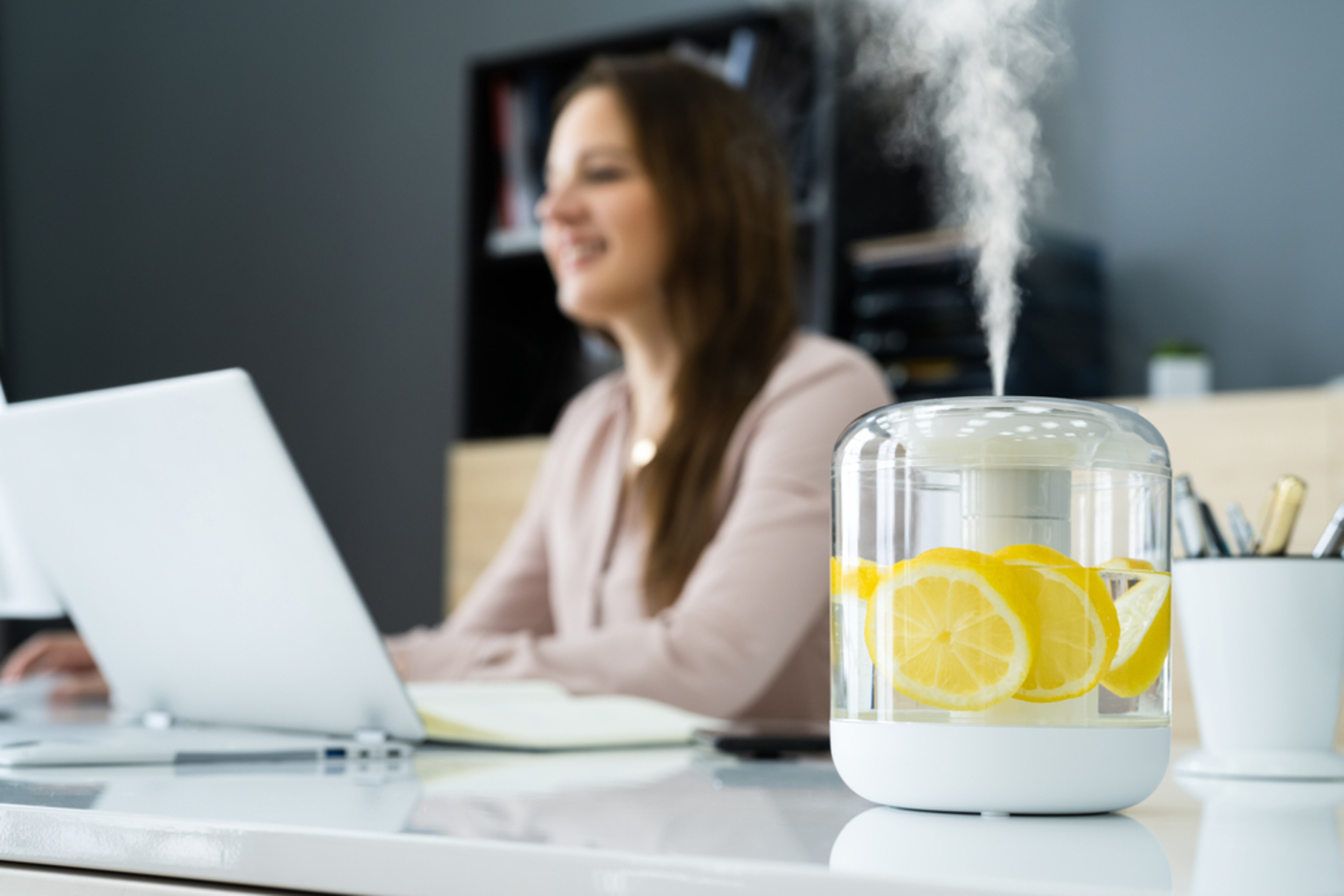 Use a Humidifier (Especially in Dry Climates or Air-Conditioned Rooms)