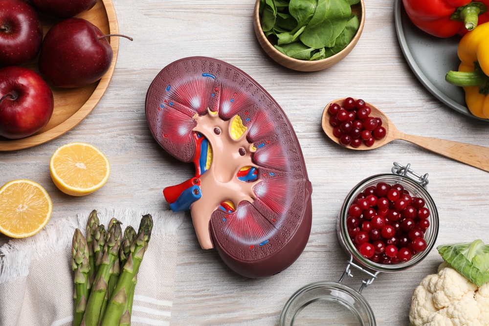 13 Foods That Keep Your Kidneys Healthy