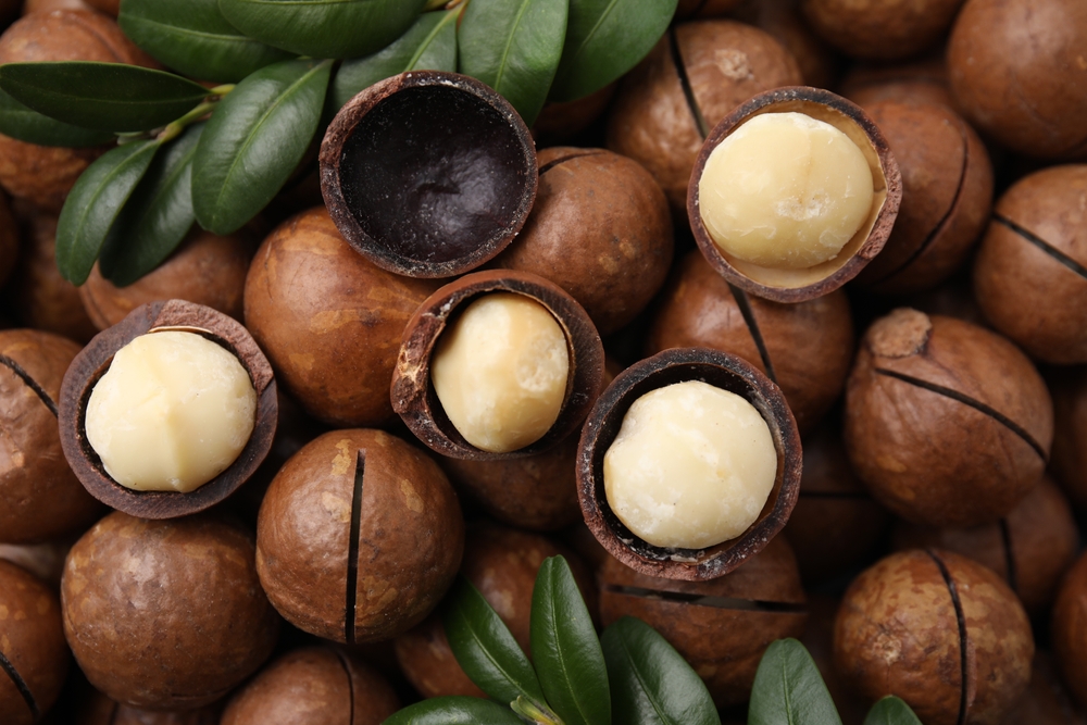Macadamia Nuts