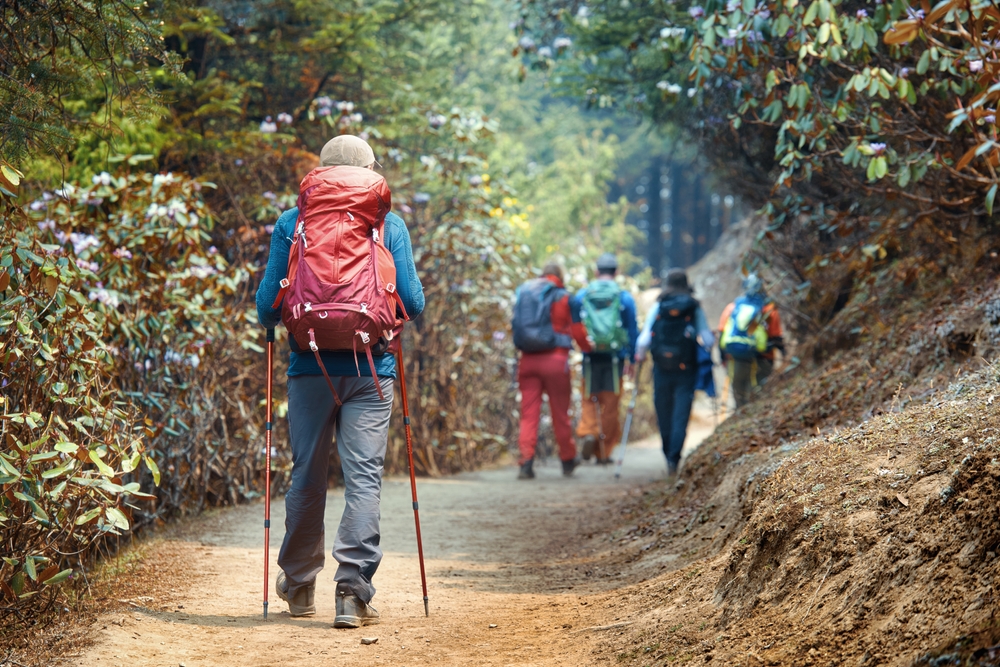 Engage in Local Outdoor Activities