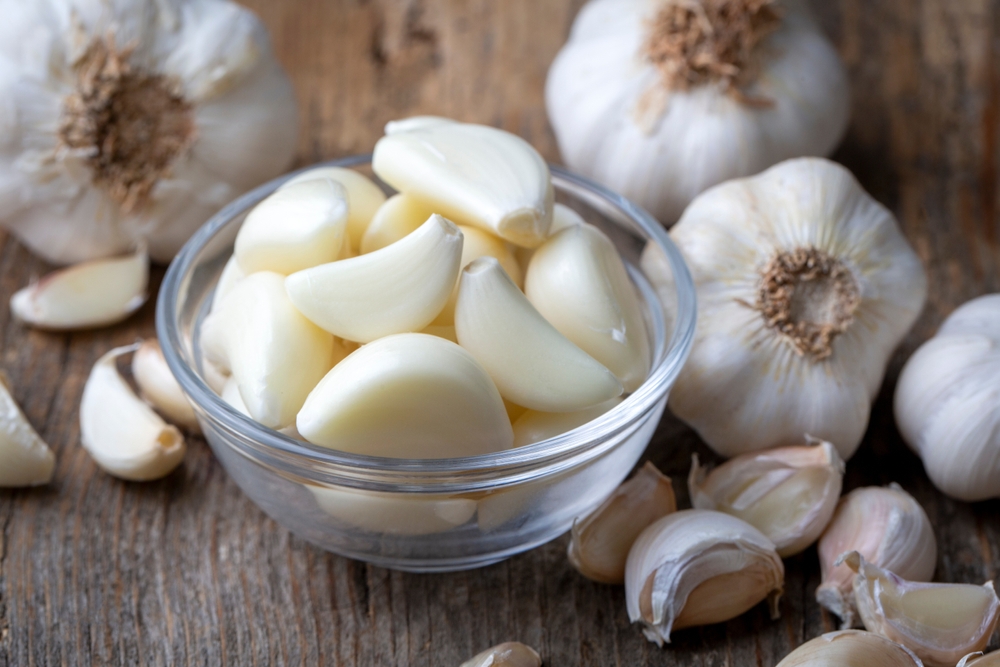 Garlic