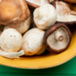 These 15 Vegetables Have High Iron Levels