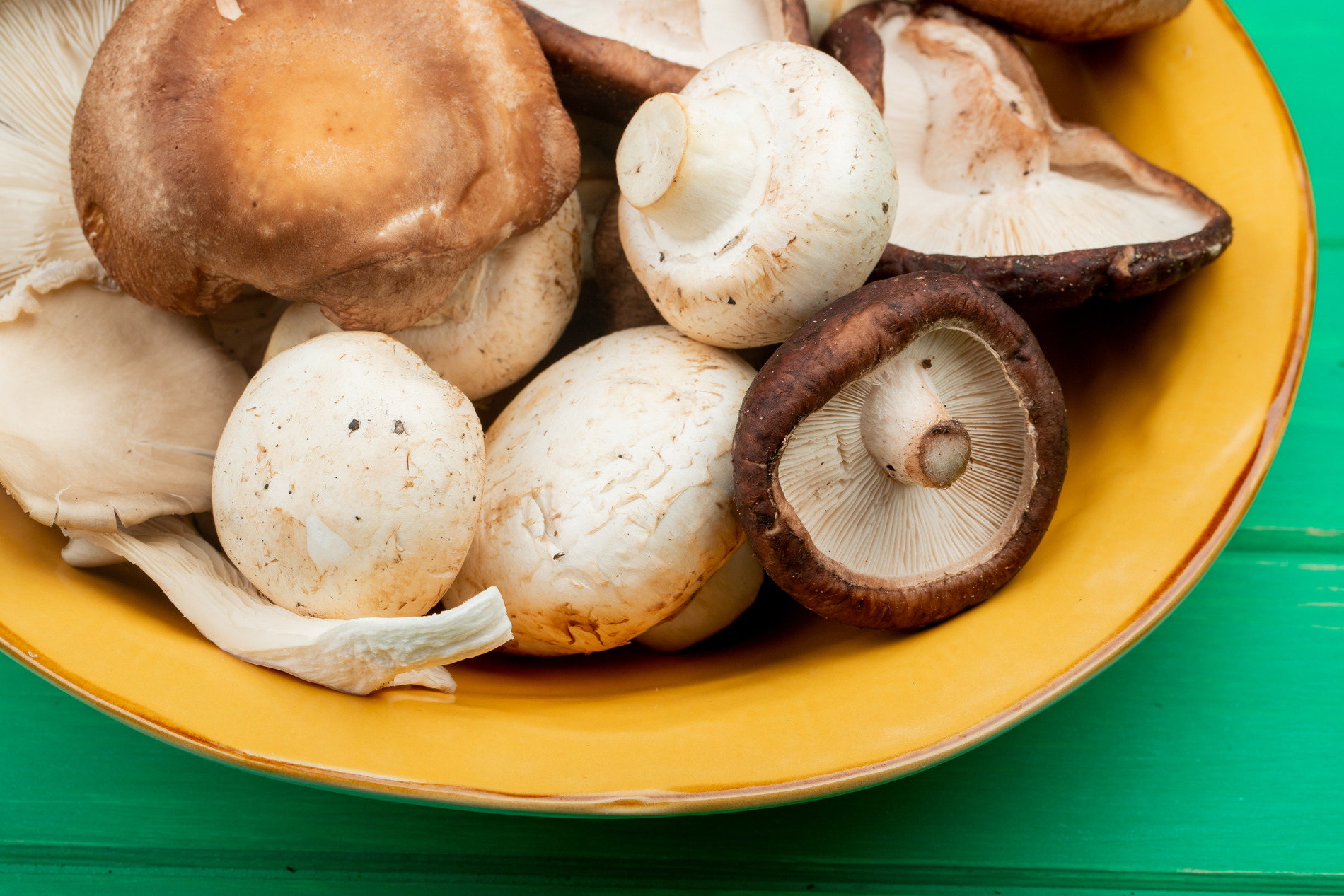mushrooms