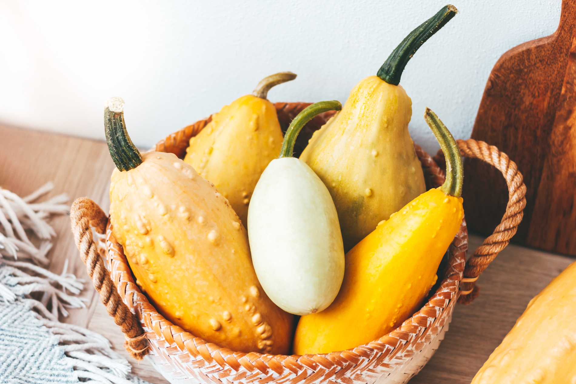 squash
