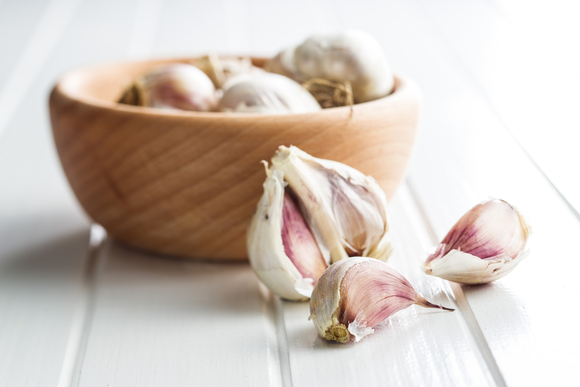 Garlic