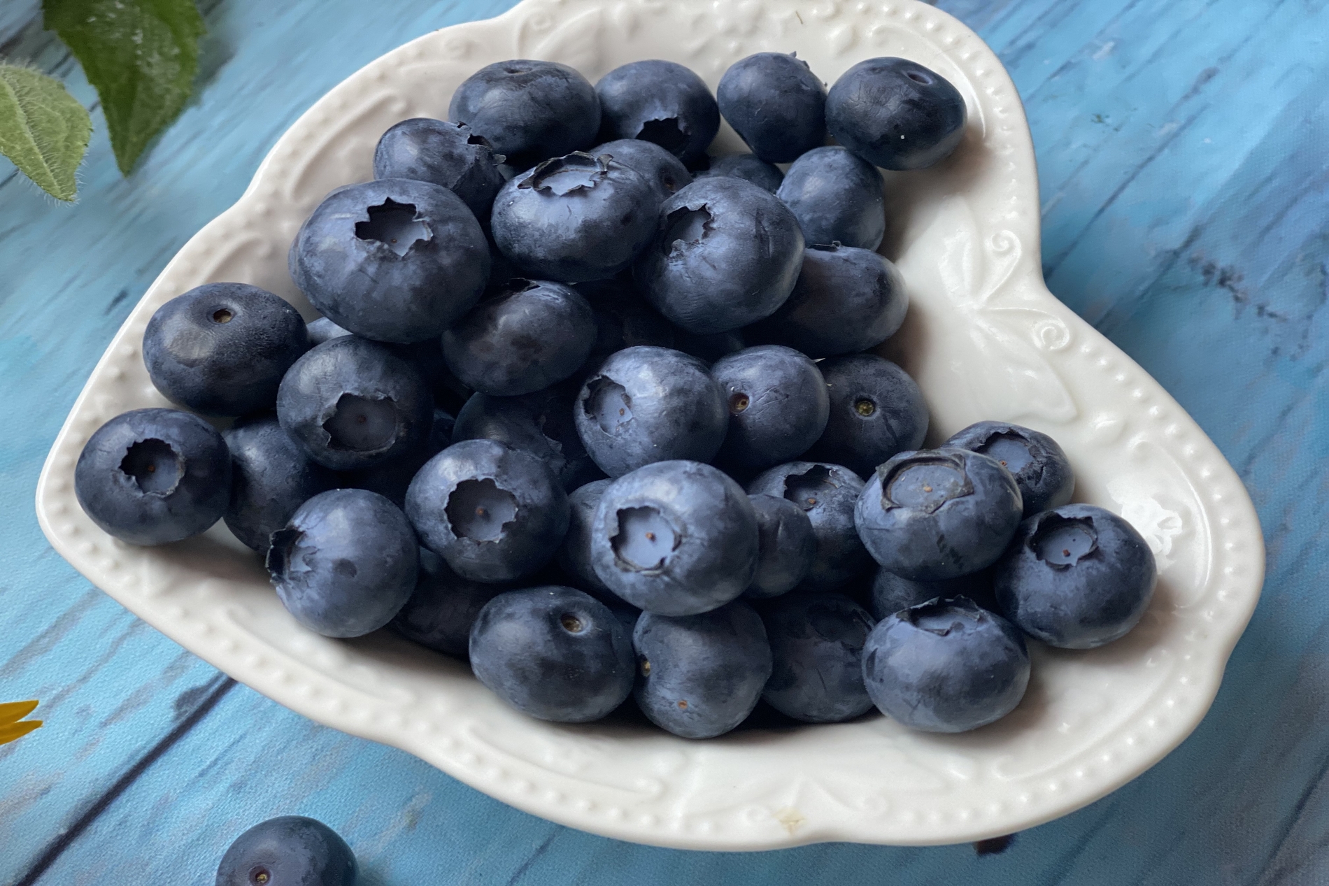 blueberries