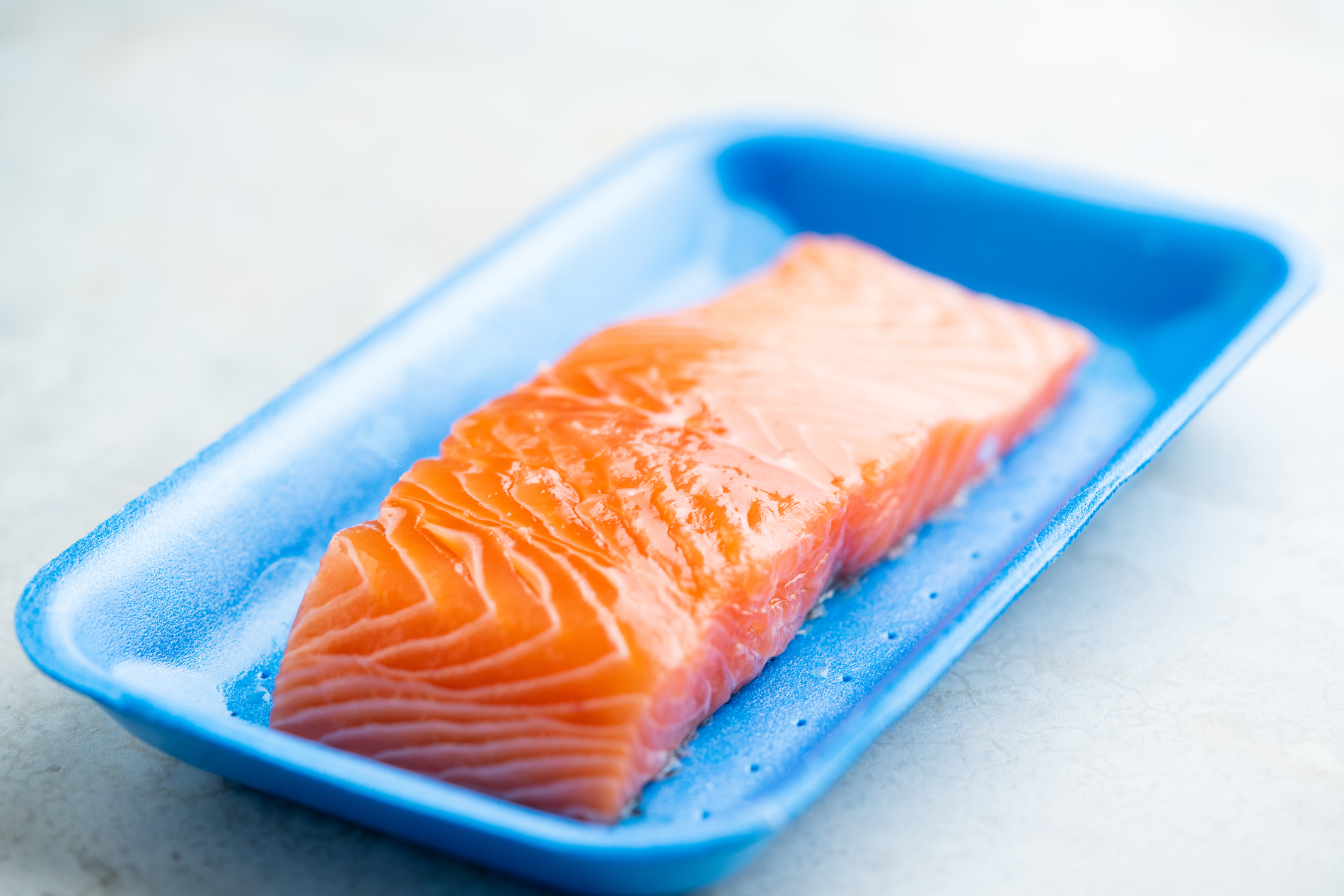 Salmon
