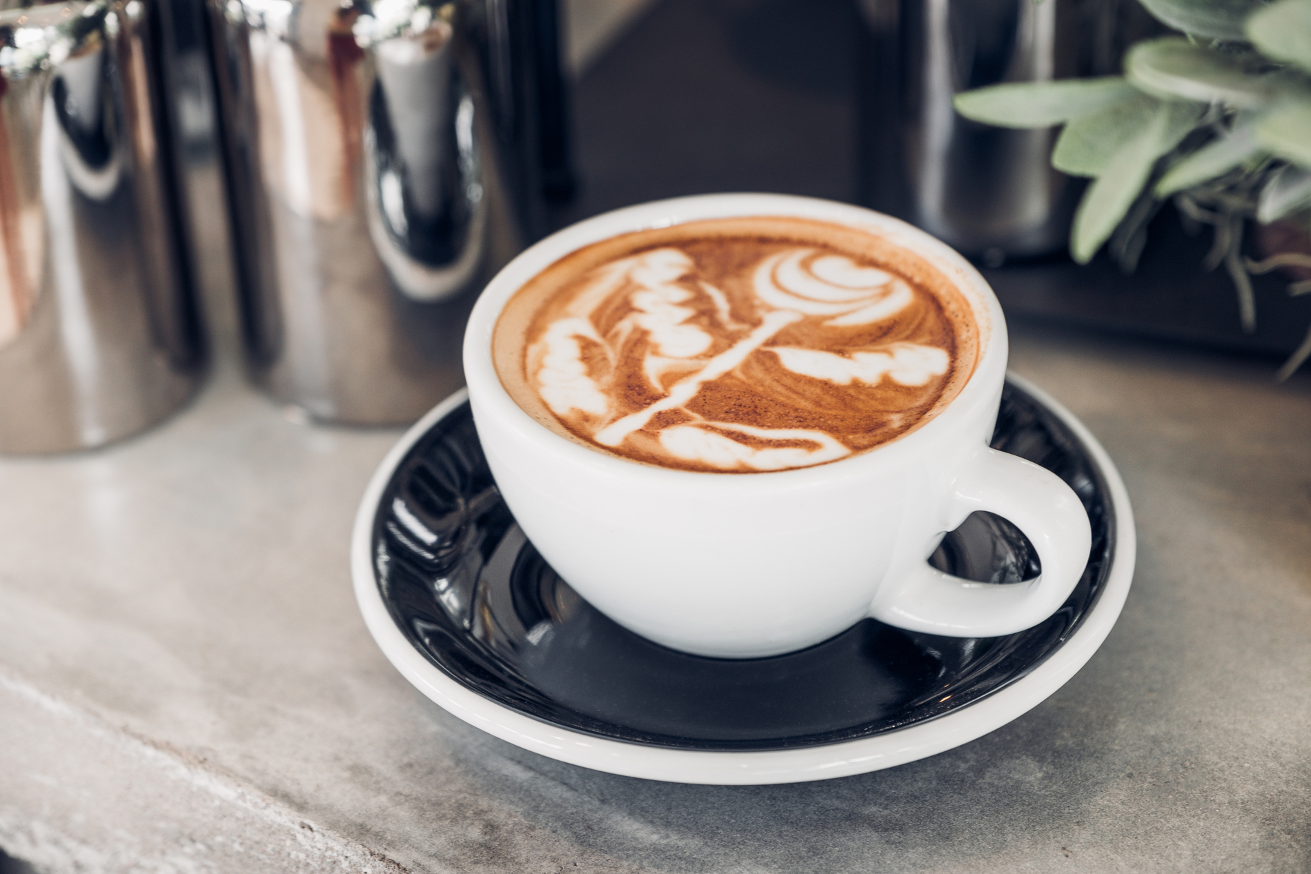 coffee