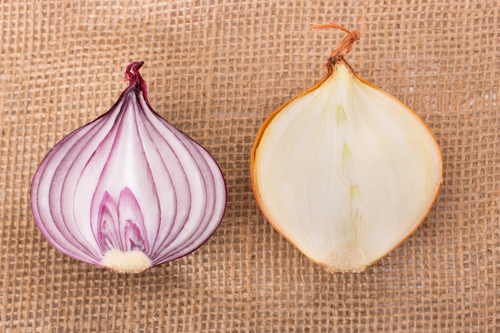 onions