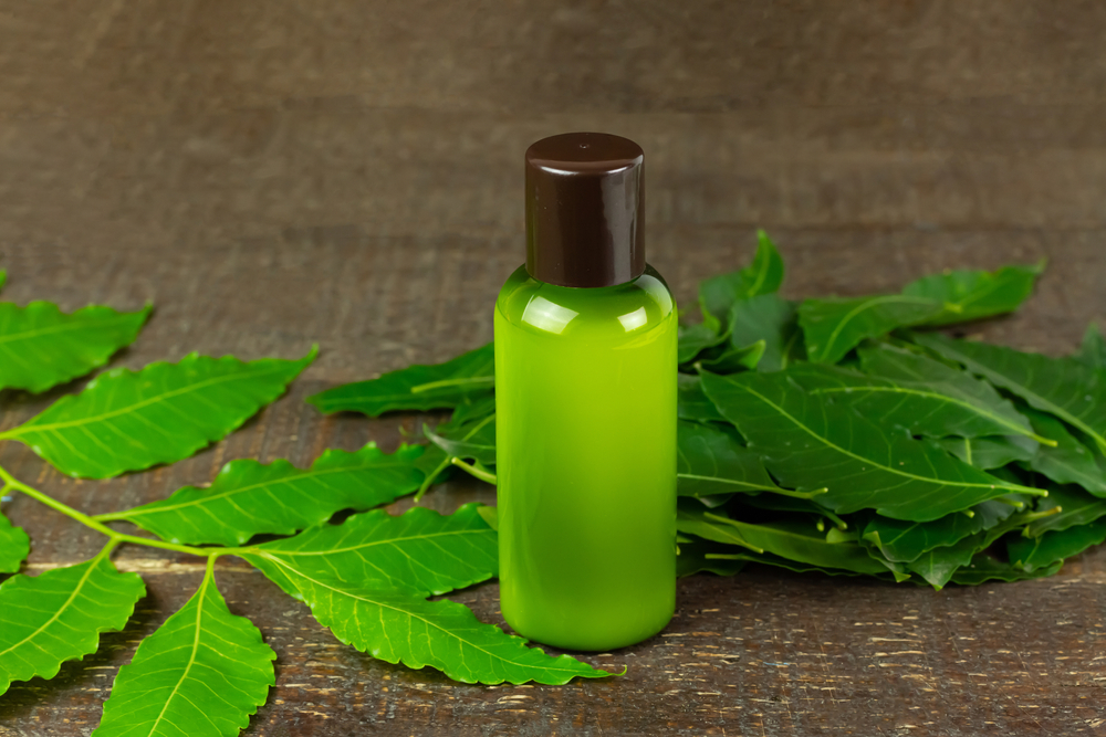 Neem Leaves