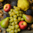 15 Fall Fruits and Vegetables to Enjoy Fresh for the Best Nutrition