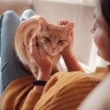 How Pets Can Actually Help You Live Longer