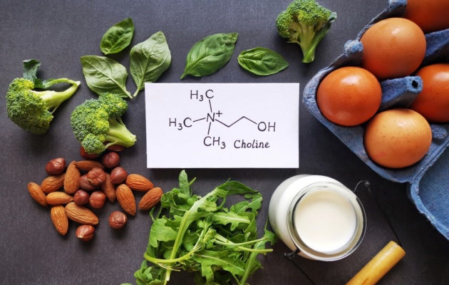 18 Foods High in Choline to Support Brain Health