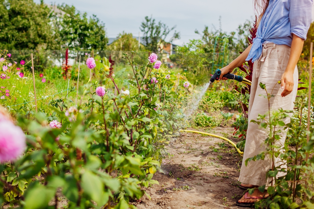 Gardening and Plant Care