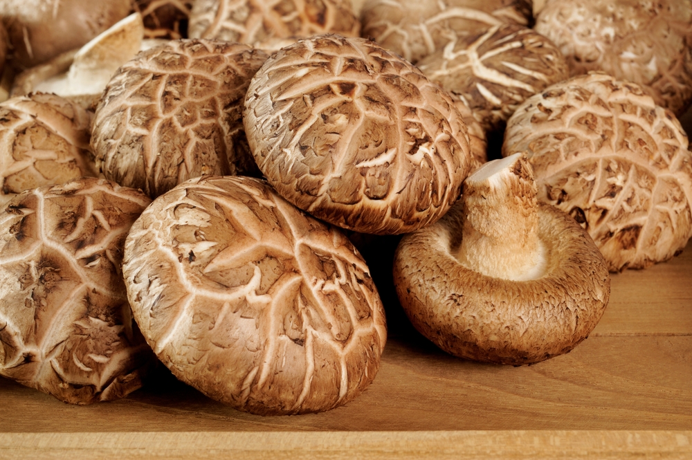 Shiitake Mushrooms