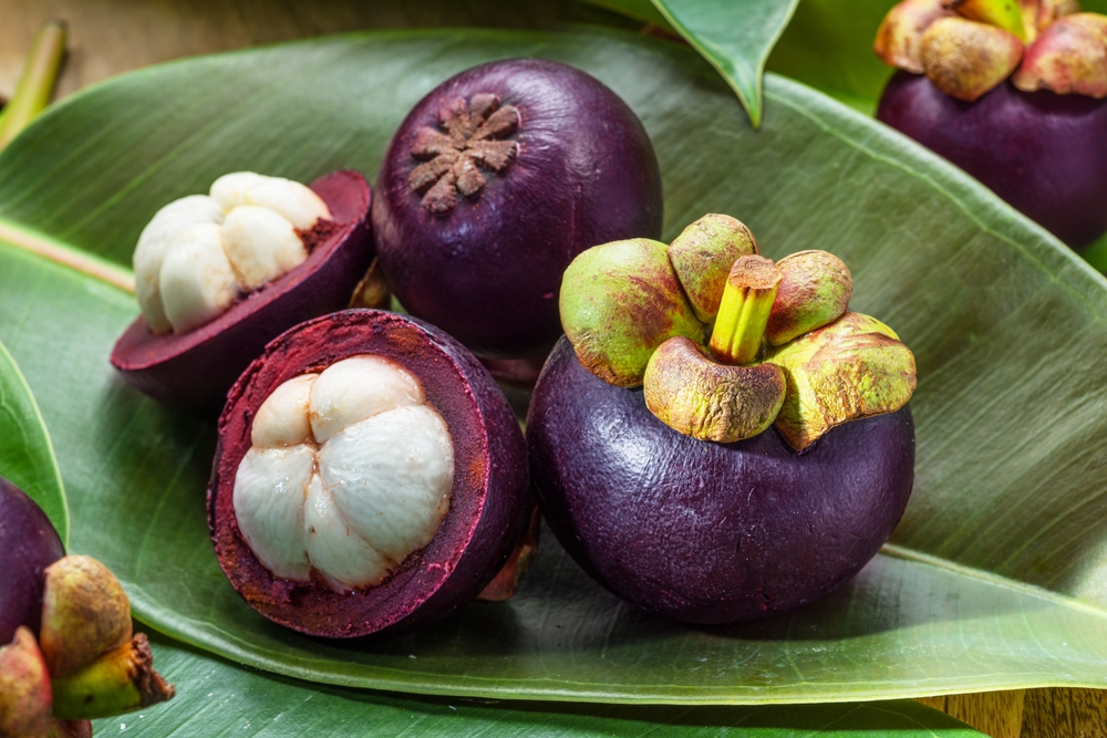Mangosteen